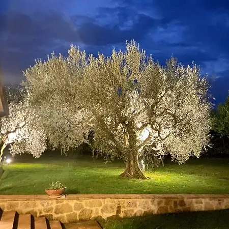 Eco-bio Vacasio Farm stay Pitigliano