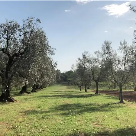 Eco-bio Vacasio *